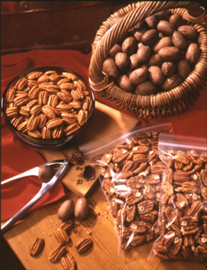 Pecan Storage Tips - Georgia Pecans - image