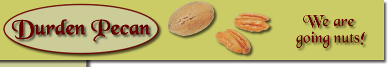 Georgia Pecans from Durden Pecan Reidsville, GA graphic